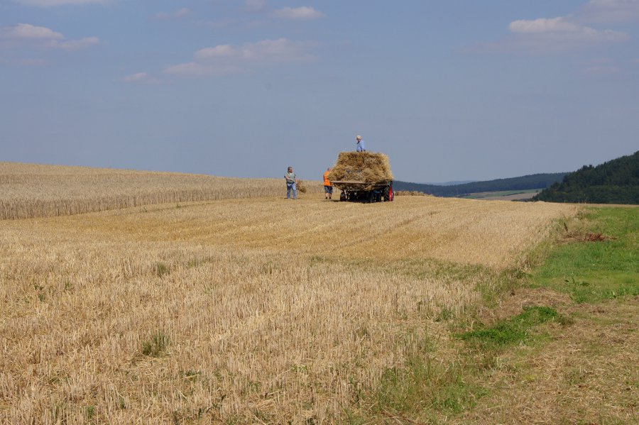 voll beladener Erntewagen