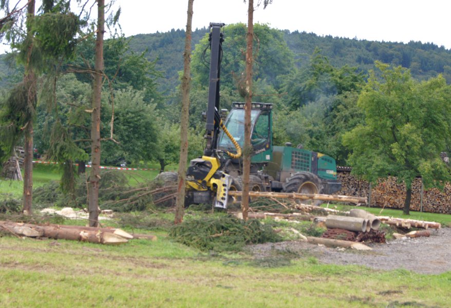 Am Stand von Joachim Schtz und hessen-Forst wurden Techniken der Holzernte frher und heute vorgefhrt