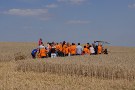 die Densberger Zuschauer fallen auf in ihren orangen Hemden zur 925-Jahrfeier