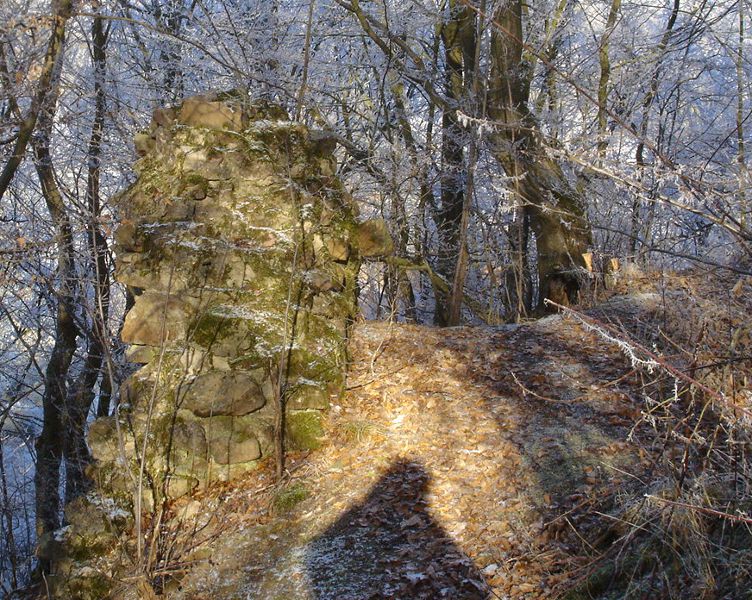 Erhaltene Mauerreste der Burgruine Densberg