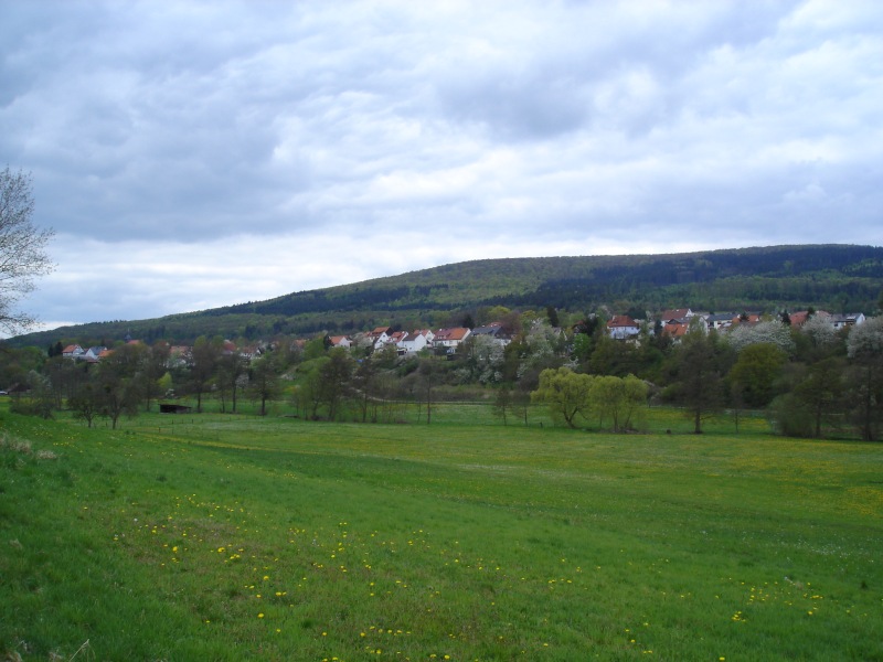 Densberg von Süden aus gesehen, links die Kirche, im Hintergrund der Kellerwald