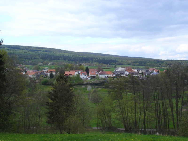 der südliche Ortsrand von Densberg mit dem Gilsatal im Vordergrund