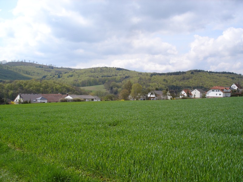 Densberg vom nrdlichen Ortsrand aus gesehen im Frhling, im Hintergrund der Hemberg