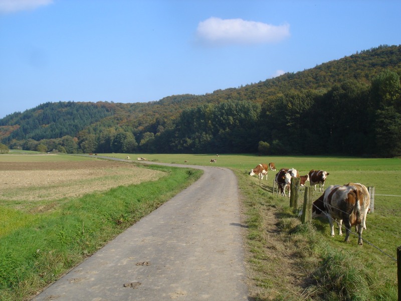 Khe am Radweg durch das Gilsatal von Densberg nach Jesberg