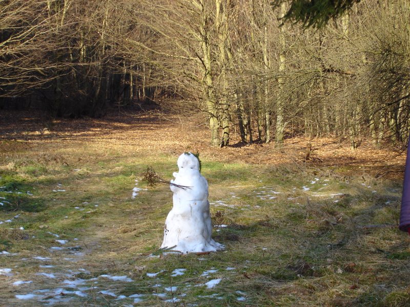 ein einsamer Schneemann im Wald