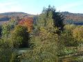 herbstlich bunte Bltter am Ortsrand von Densberg und im Hemberg im Hintergrund