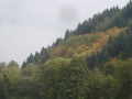 Herstfarben im Hemberg zwischen Densberg und Jesberg