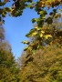 Herbststimmung im Kellerwald