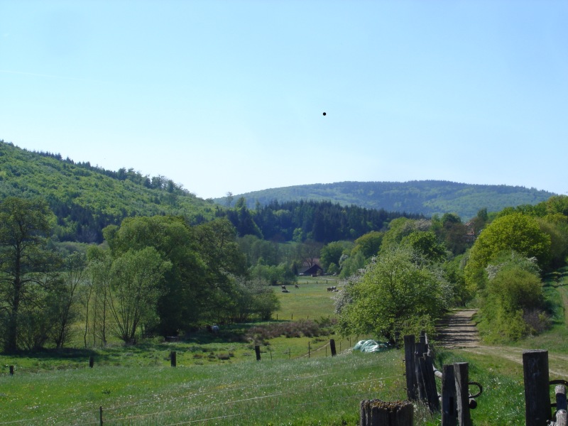 Wälder und Weiden südlich von Densberg