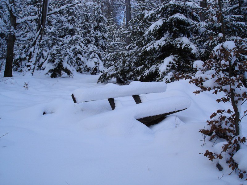 eine Bank im Schnee